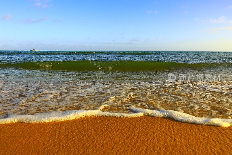 热带天堂:田园般的Praia do Forte海滩日落，巴伊亚，巴西